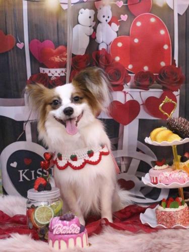 20250215ムーくん